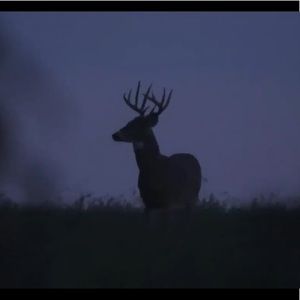 Meet your Posher, Rich